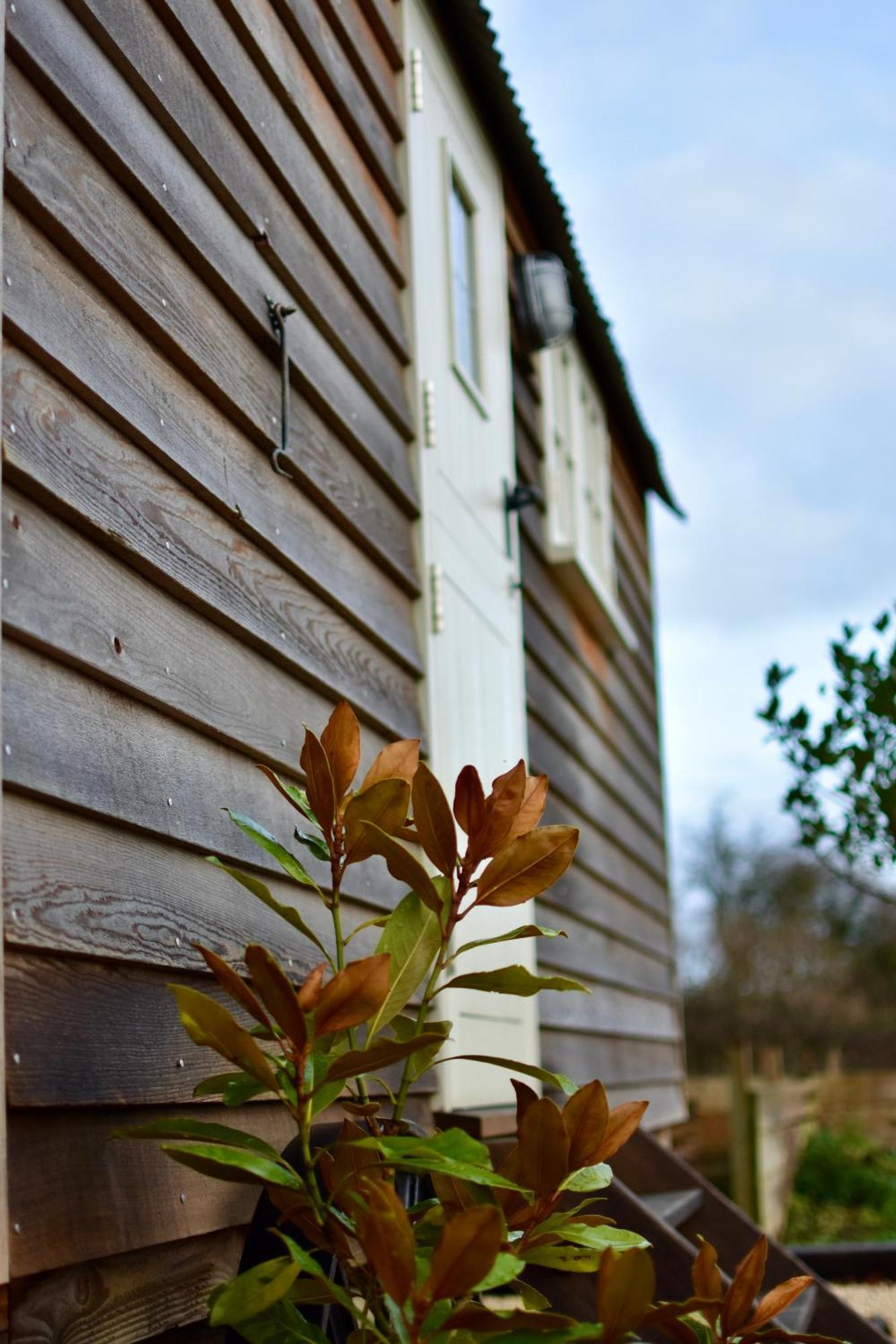 The Deer Hut Leilighet Burpham Eksteriør bilde